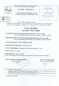 Type Test IEC 60439-1 IP 42 Protection Class Verification Report 