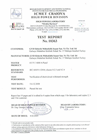 Type Test IEC 60439-1 Short Circuit Withstand Test Report