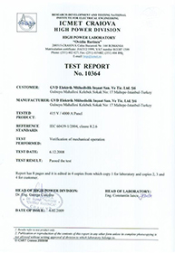 Type Test IEC 60439-1 Mechanical Operation report